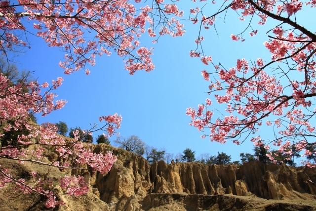 阿波の土柱